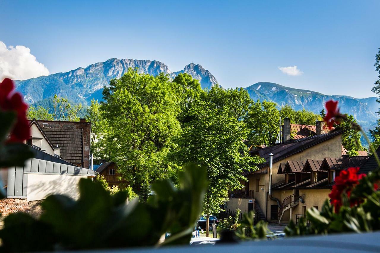 Willa Arkady Zakopane Extérieur photo